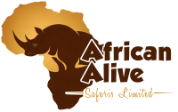 African Alive Safaris Limited
