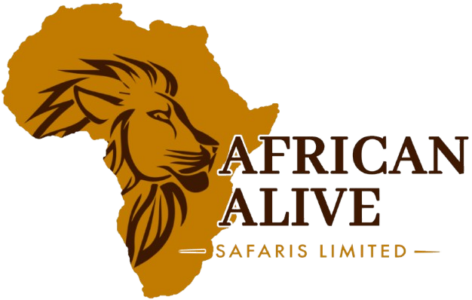 African Alive Safaris Limited