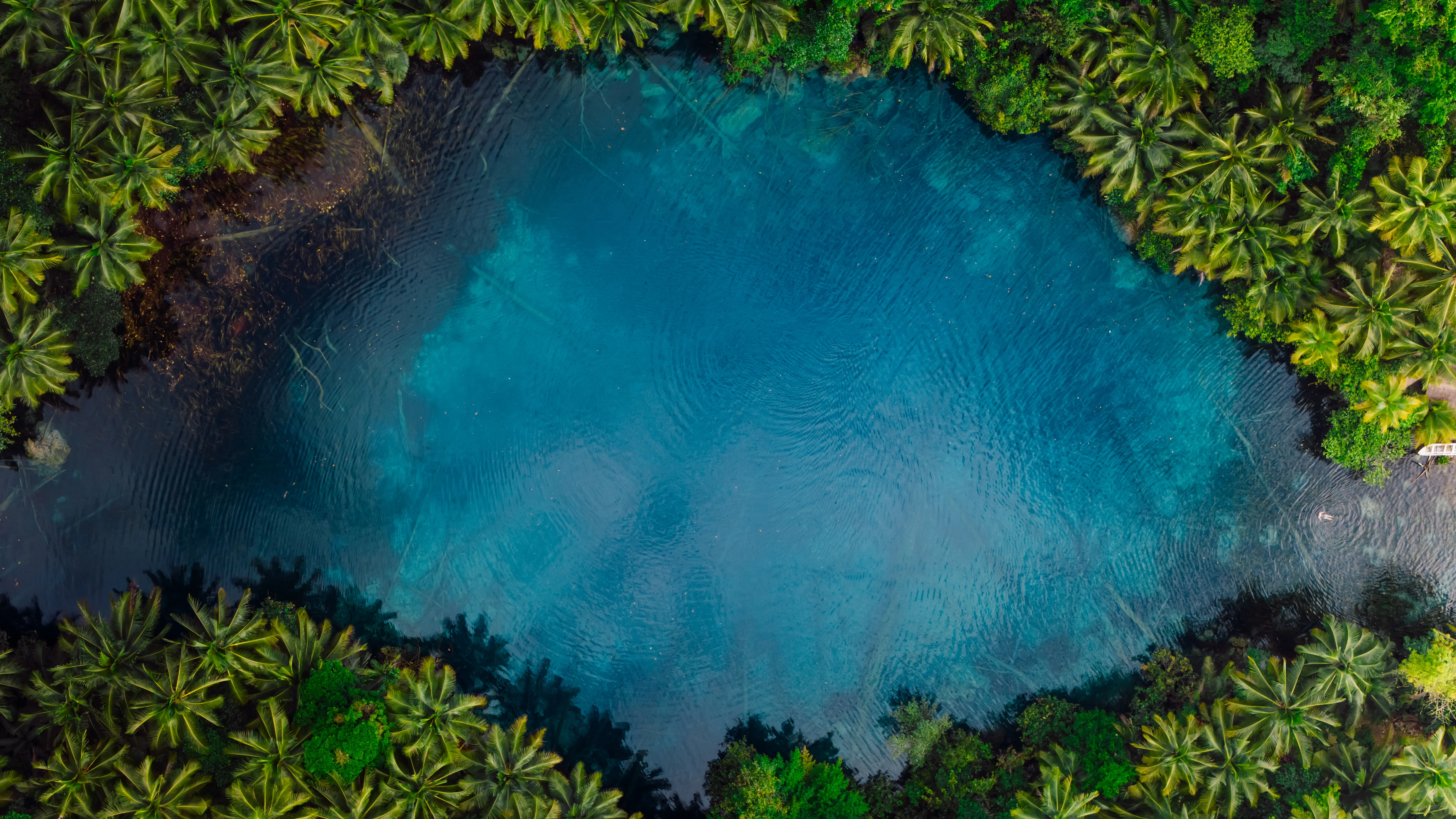 blue-water-hole-surrounded-by-verdant-palm-trees-2026-04-07-18-39-05-utc_result