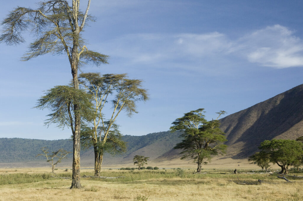 ngorongoro crater