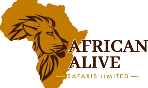 cropped-cropped-cropped-AFRICAN-ALIVE-SAFARIS-_result-1.webp