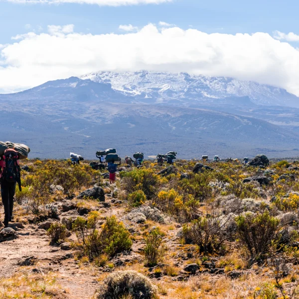 hikers-climbing-mount-kilimanjaro-in-tanzania-2026-03-18-08-01-34-utc_result