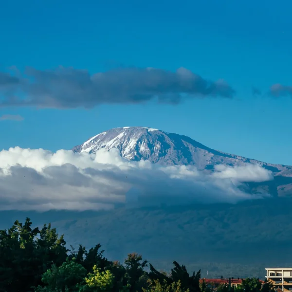 landscape-of-snowy-mount-kilimanjaro-on-the-horizo-2026-03-18-06-32-49-utc_result
