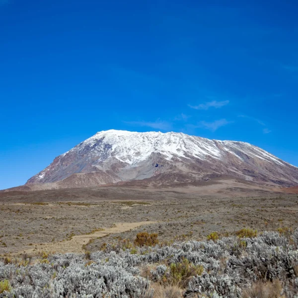 snow-on-top-of-mount-kilimanjaro-2026-01-06-10-50-39-utc_result
