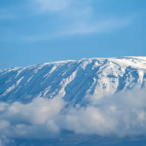 snow-on-top-of-mount-kilimanjaro-in-amboseli-2026-03-24-15-21-46-utc_result