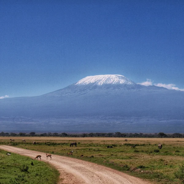 the-road-to-kilimanjaro-2026-03-15-23-25-03-utc_result